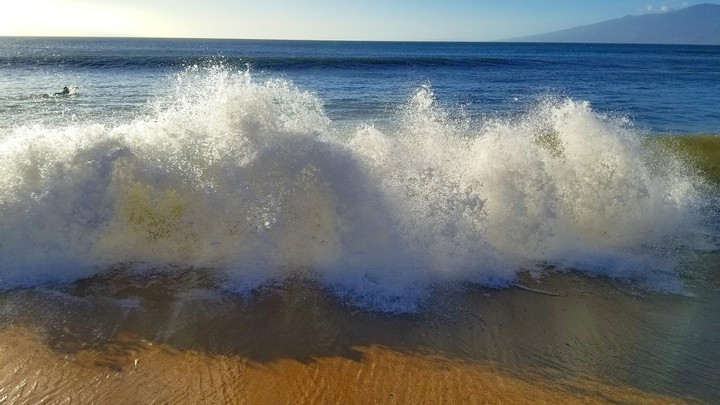 Maui waves