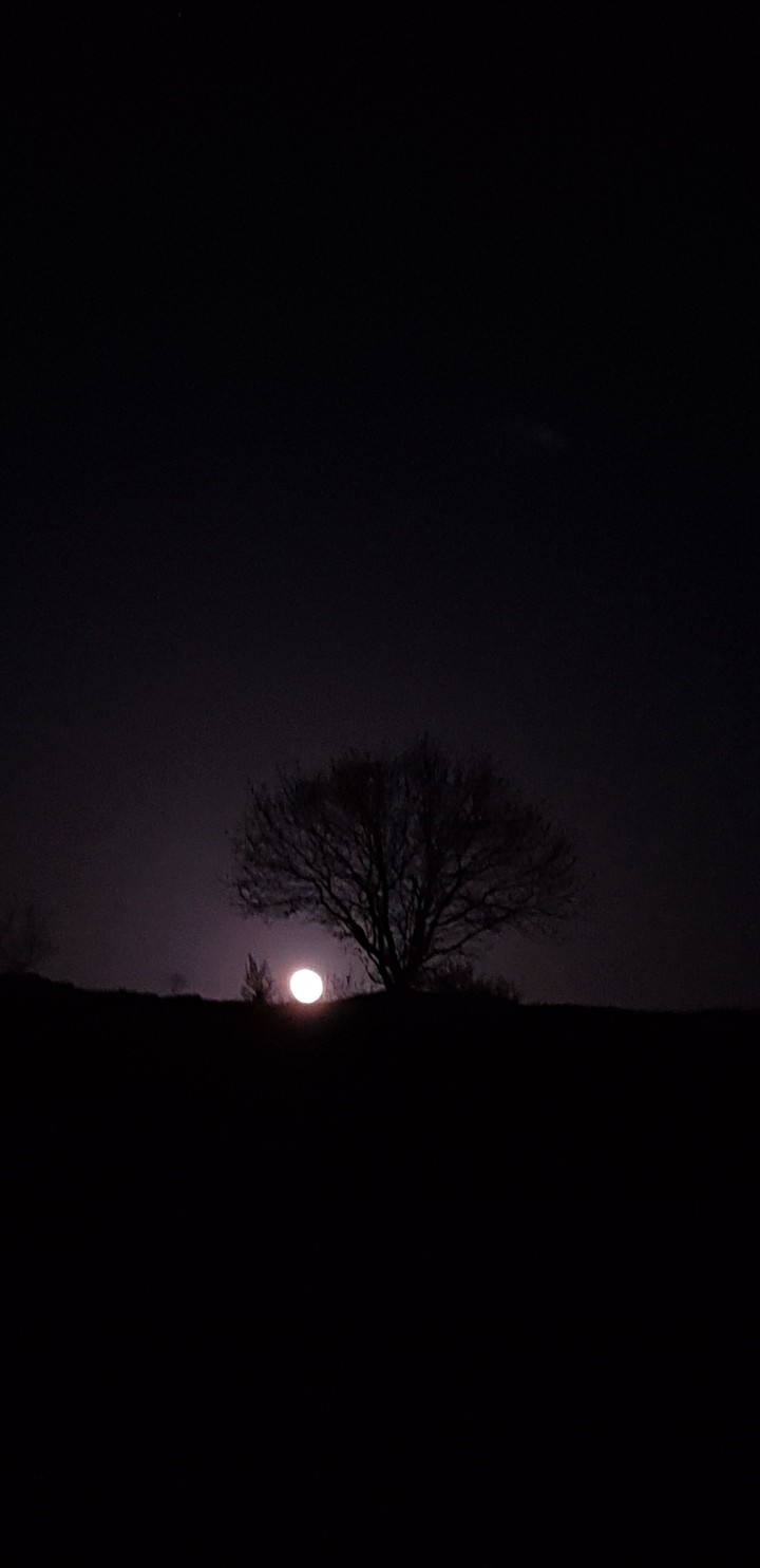 moon