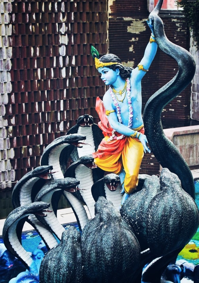 shasnag and krishna