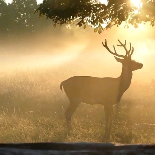 Nature is wonderful