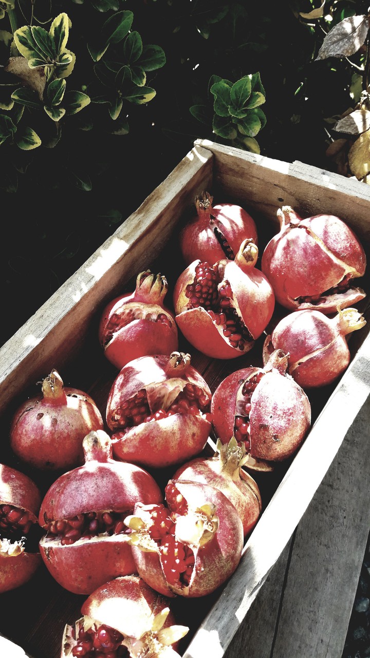 pomegranate