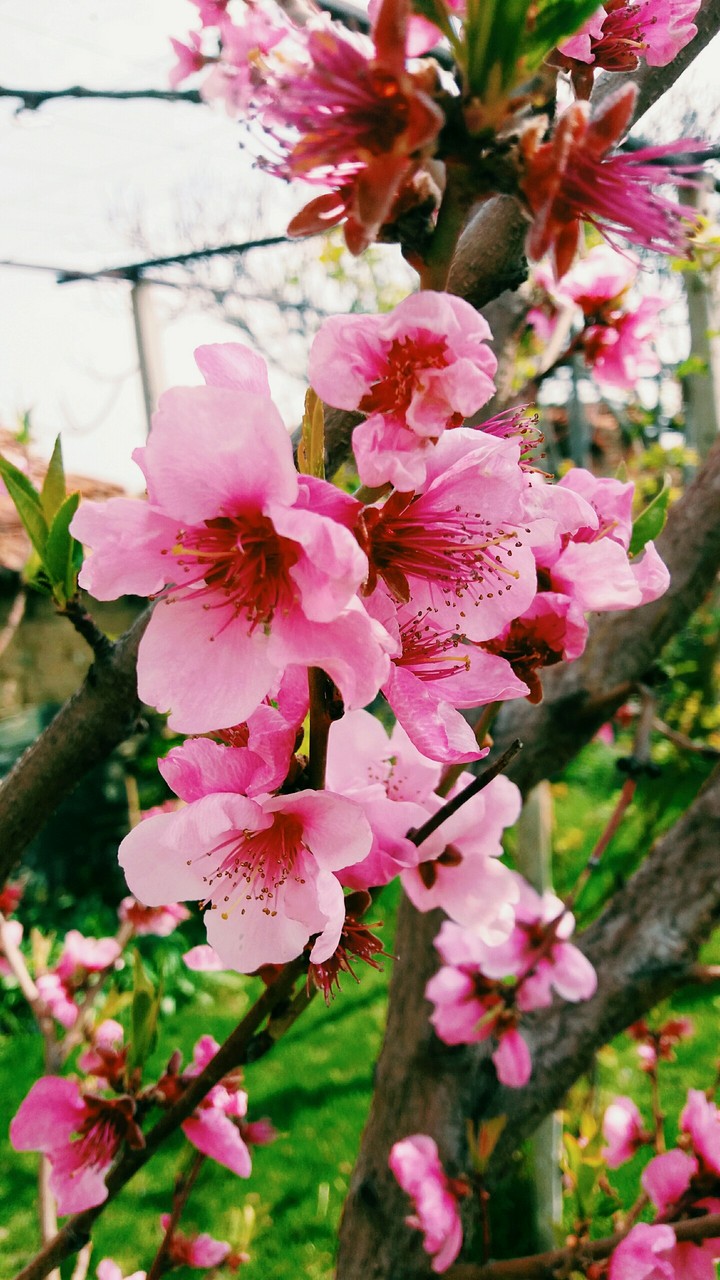 Photo by: Me | ♡♡♡