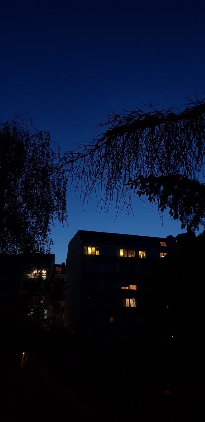 blue night