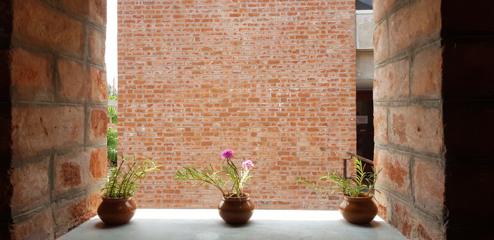 Flower and the bricks