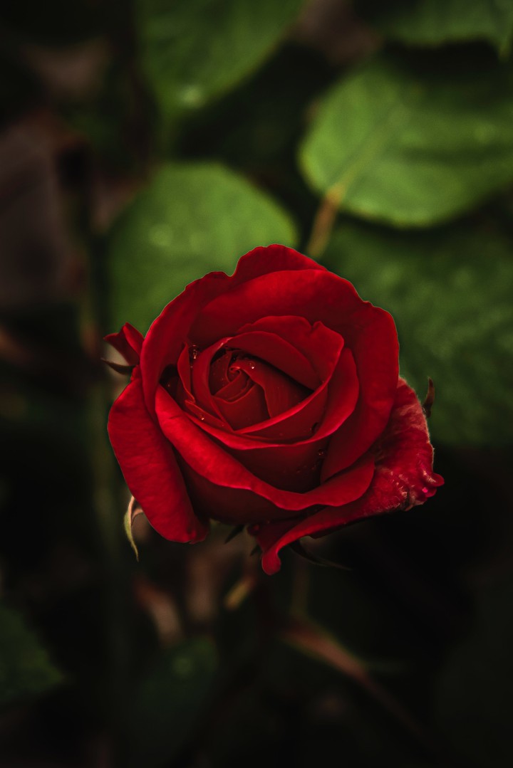 ♡