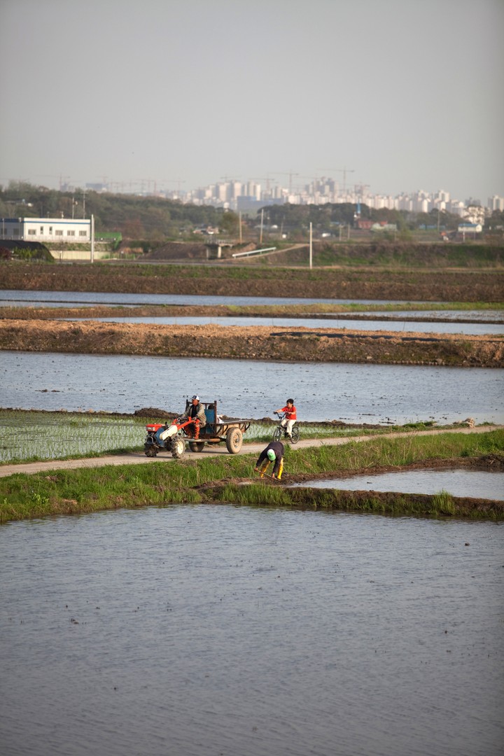 Agriculture