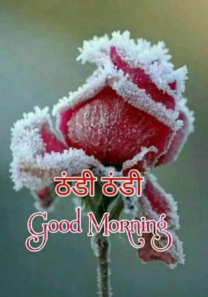 good morning