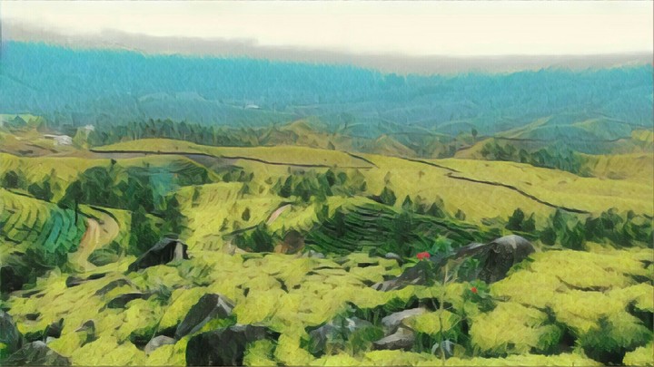 beautiful Munnar