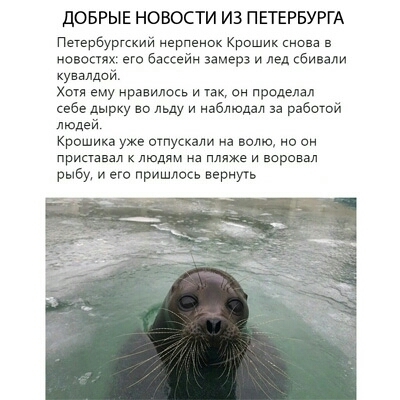 Такая лапота!!!