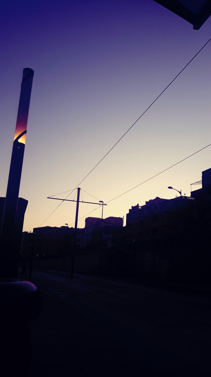 morning