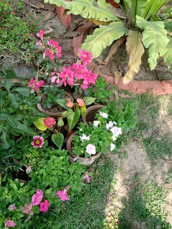 bEaUtIfUl FlOwErS