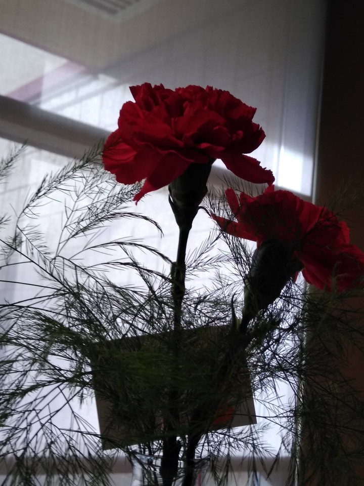 Get well flowers