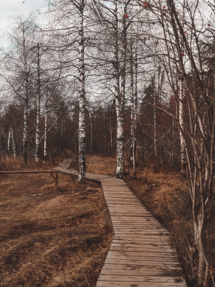 autumn