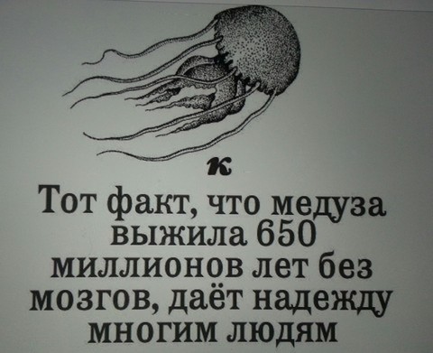 к сожалению,есть доля правды ）