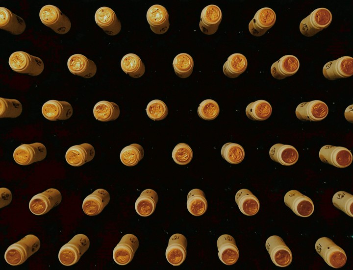 Lots of Wine