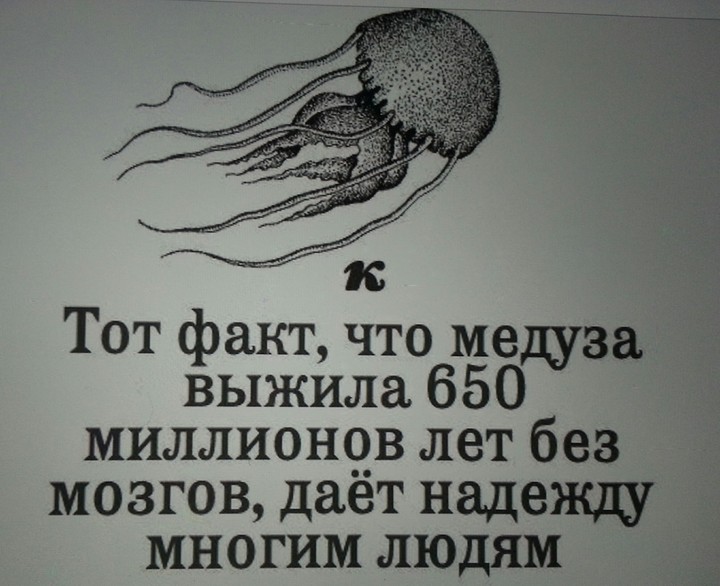 к сожалению,есть доля правды ）