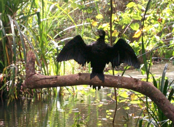 Nature At It's Best