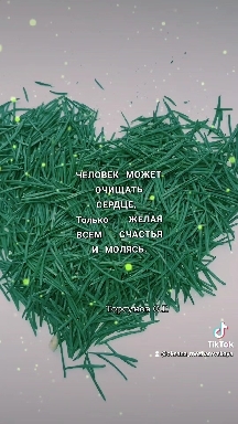 #торсунов