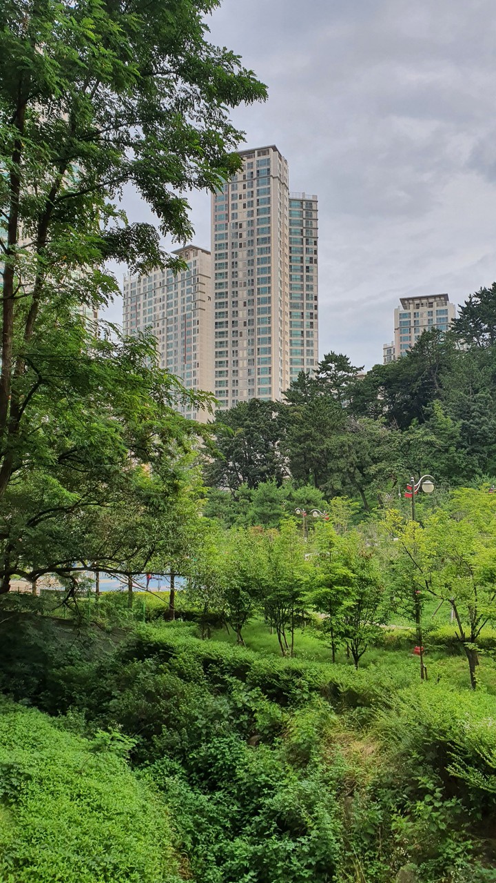 아파트(apartment)
