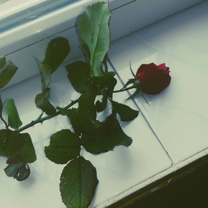 ☺☺