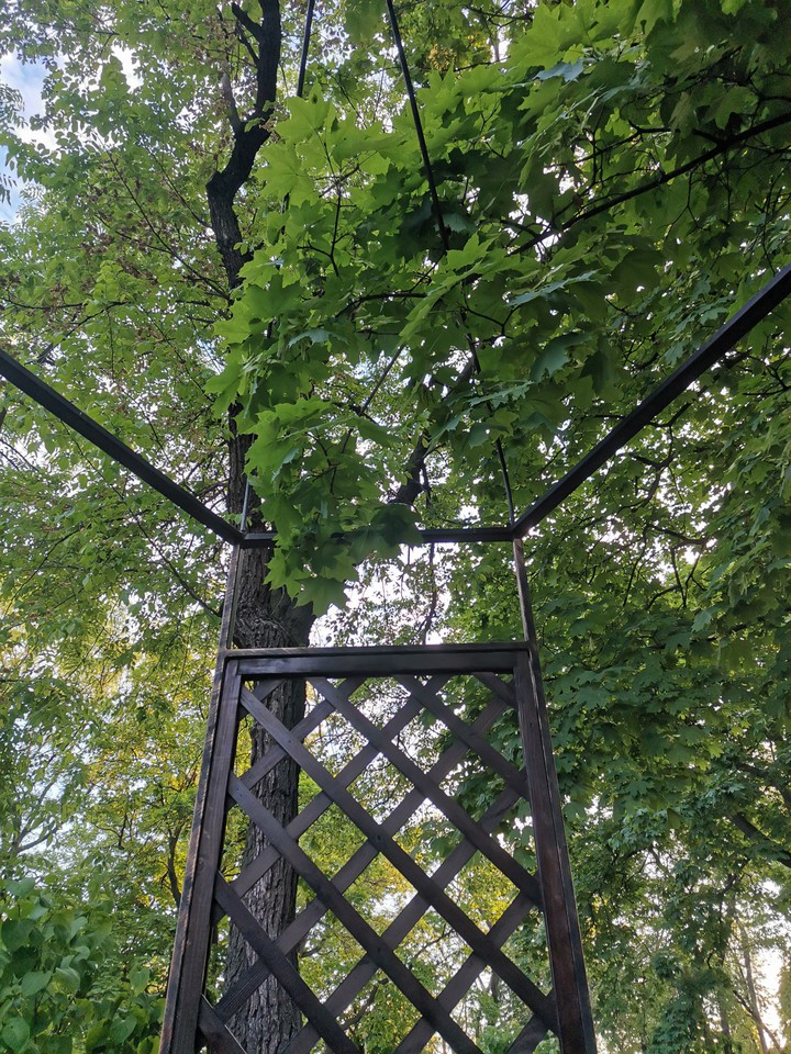 Беседка в парке
