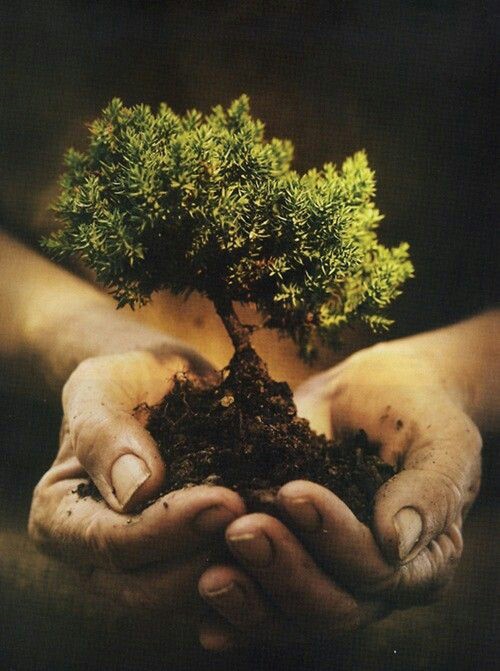 go green