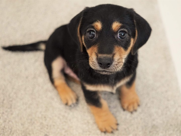 look at me, I'm innocent