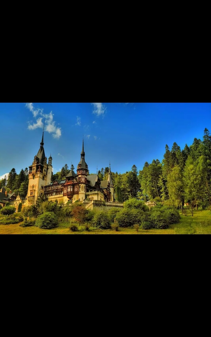 Castle