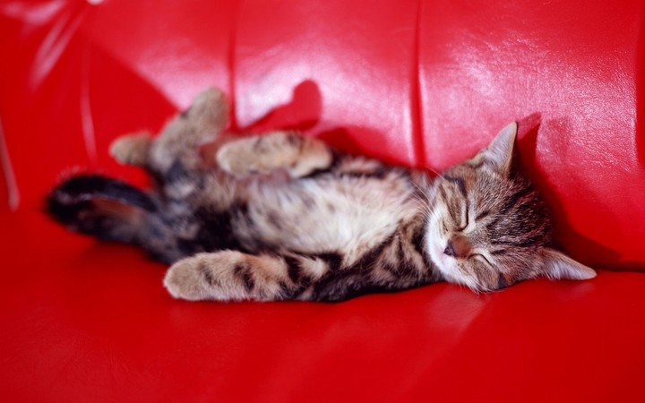 relax