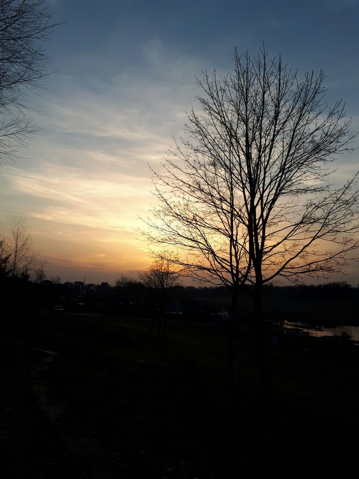 ##spring #sunset #beauty #nature #Russia #fine
