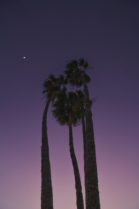 wallpaper dusk, night