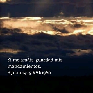 amor