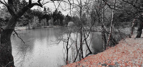 fishing pond