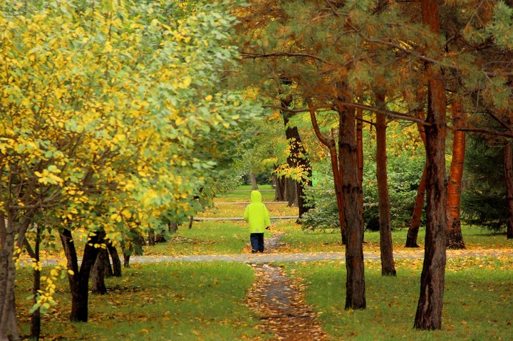 прогулка осенью