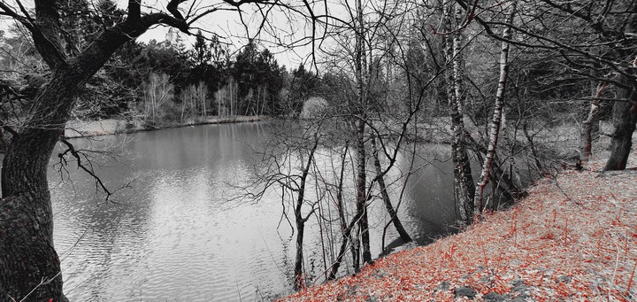 fishing pond