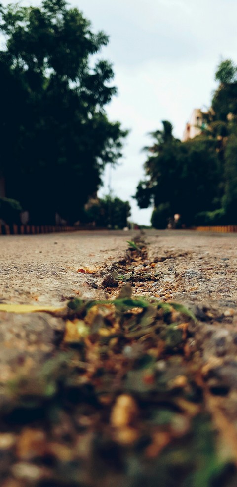 Road not taken