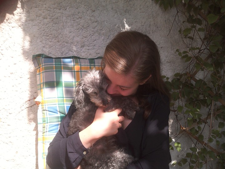 pudel und dengs