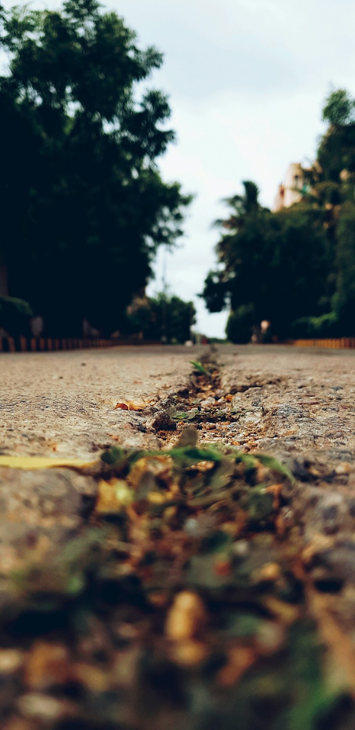 Road not taken