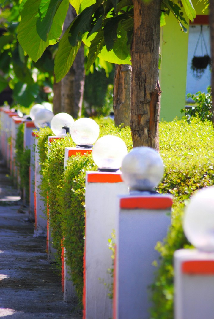 Park light