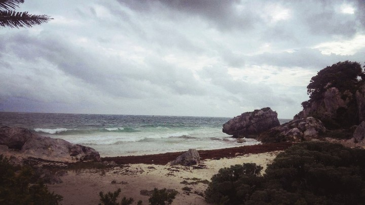 wild nature