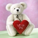 teddy