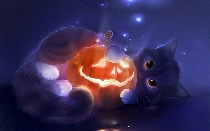 Halloween Cat