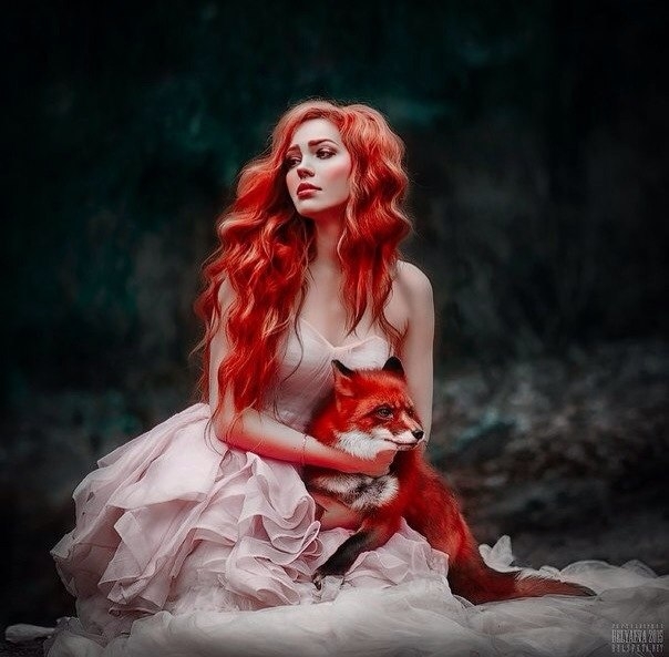 Fox