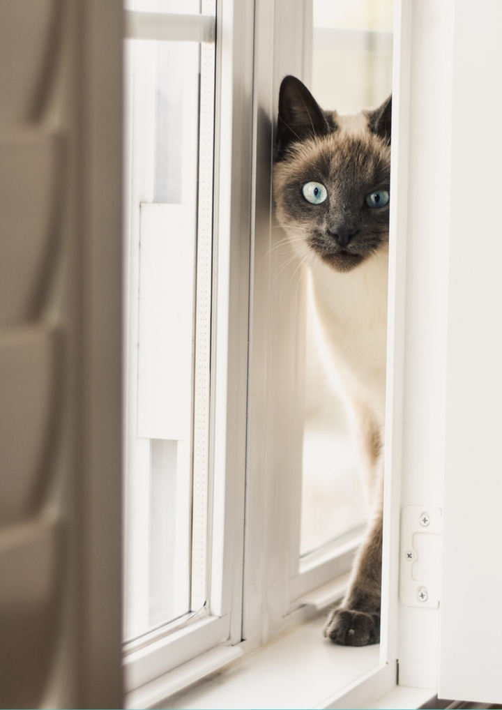 Someone's peeping...