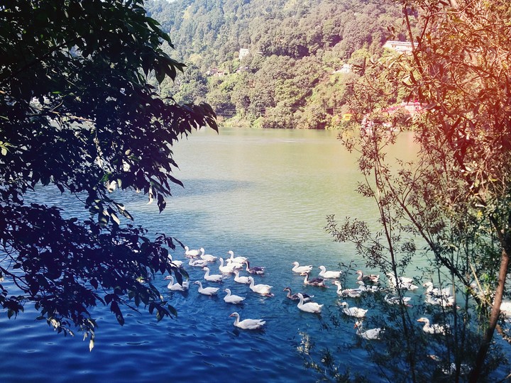 Lake