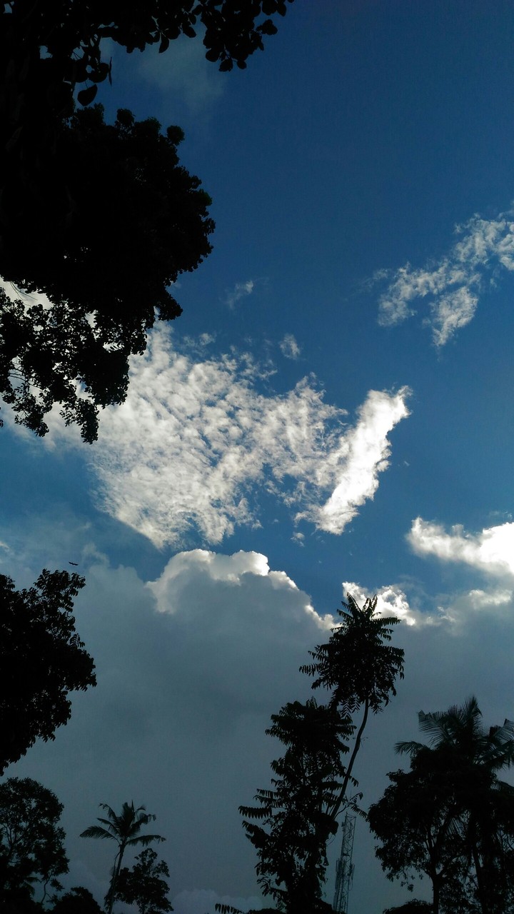 blue sky