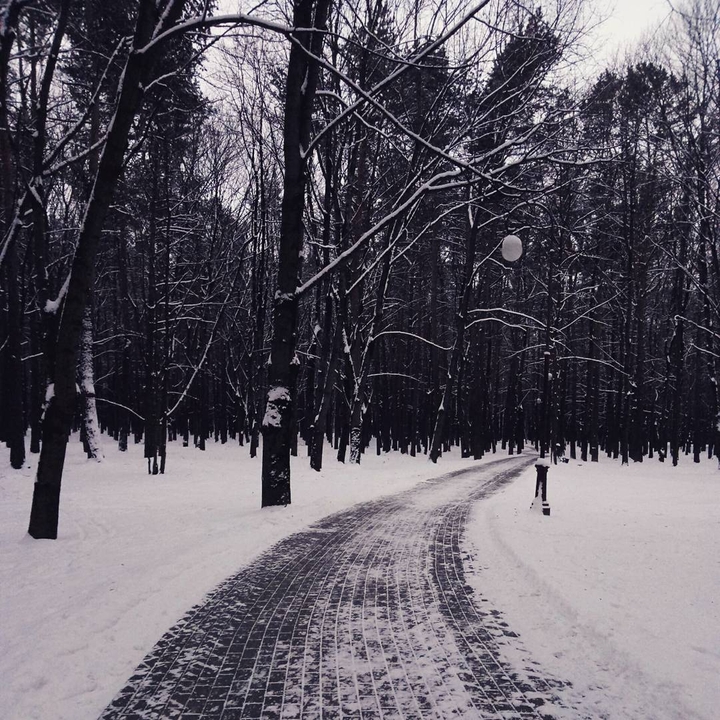 Снежная дорога