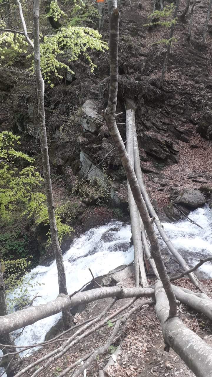 Transcarpathia