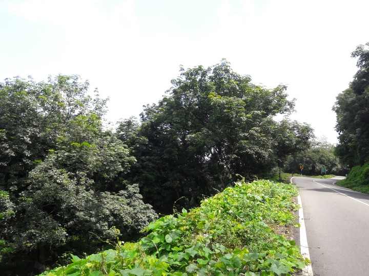 hilly road