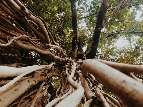 nature is magnificent